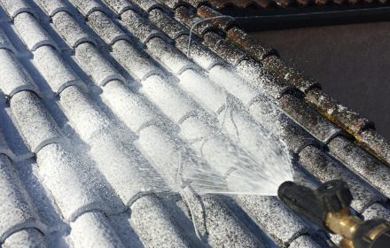 whatsapp image 2026 02 03 at 22.13.20