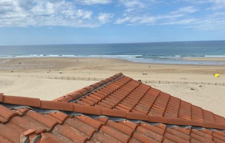 whatsapp image 2026 02 03 at 22.50.59